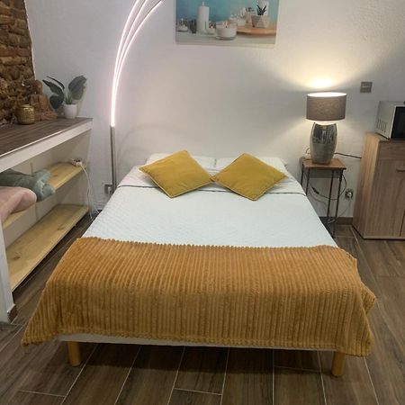 Studio 25M2 En Plein Coeur De Perpignan Ngoại thất bức ảnh